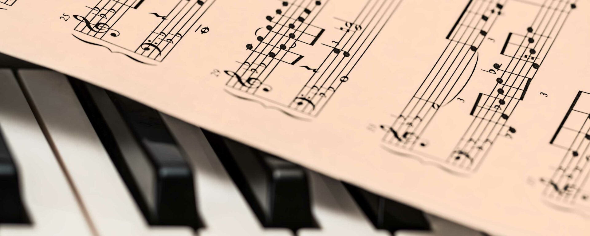 A diverse and exciting repertoire
